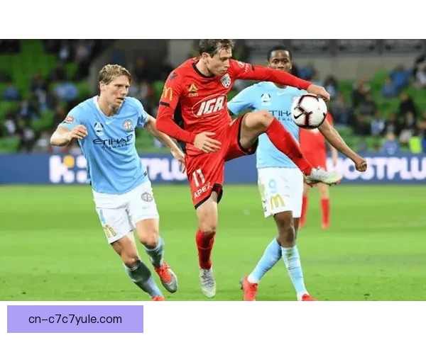 奥克兰FC签下17岁维塞利奇