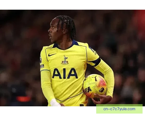 英超老将新星铸就维罗纳毕巴风