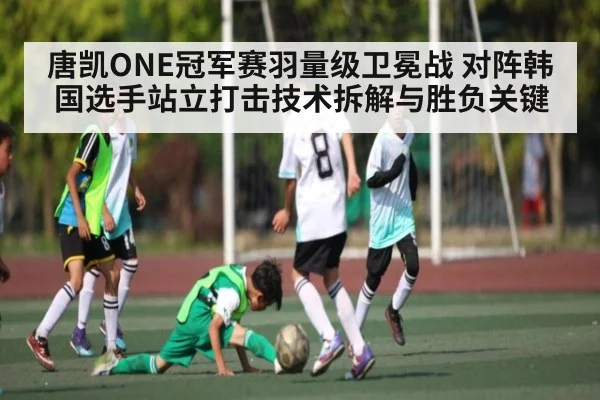 唐凯ONE冠军赛羽量级卫冕战 对阵韩国选手站立打击技术拆解与胜负关键(c7c7.app)